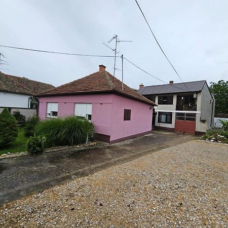 Apartmani, Sobe Ziza Bezdan Luaran gambar