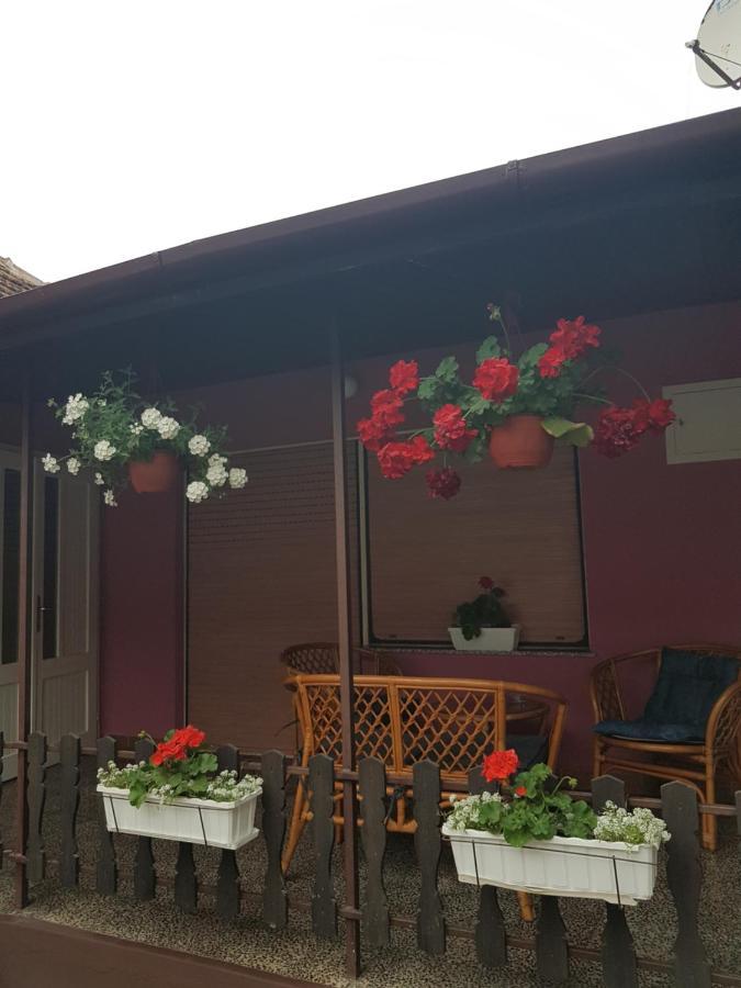 Apartmani, Sobe Ziza Bezdan Luaran gambar