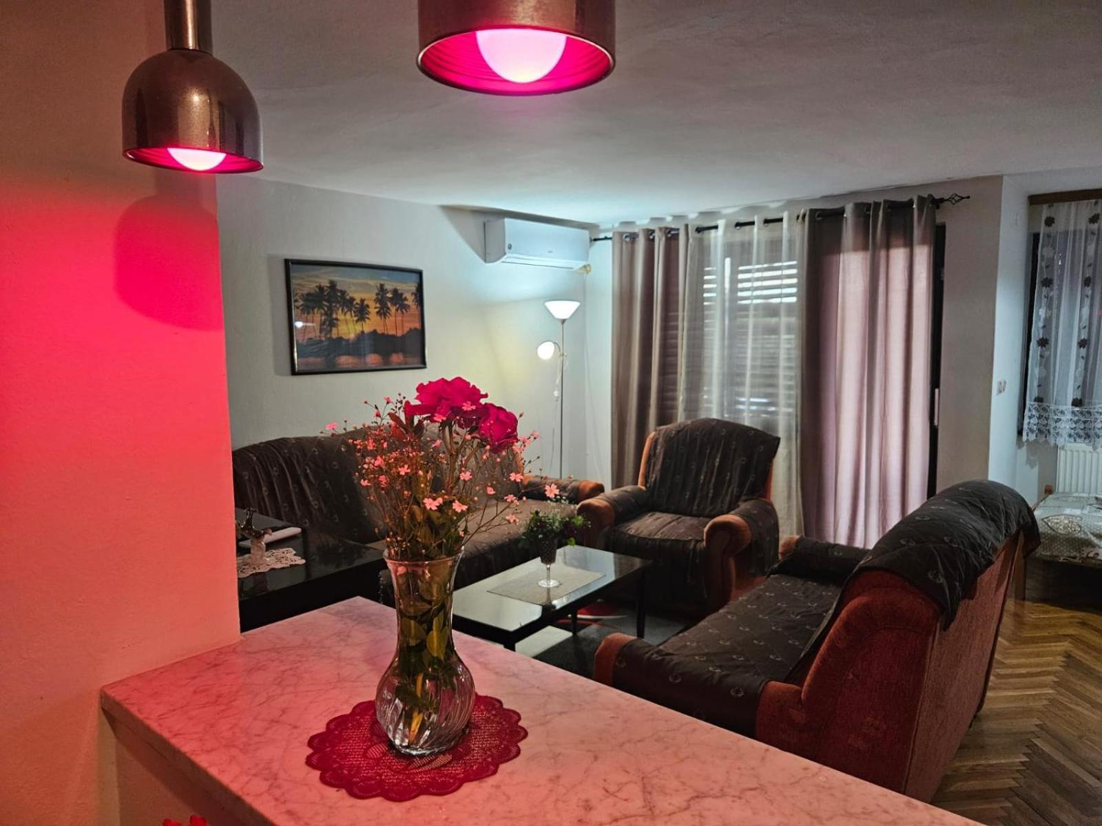 Apartmani, Sobe Ziza Bezdan Luaran gambar