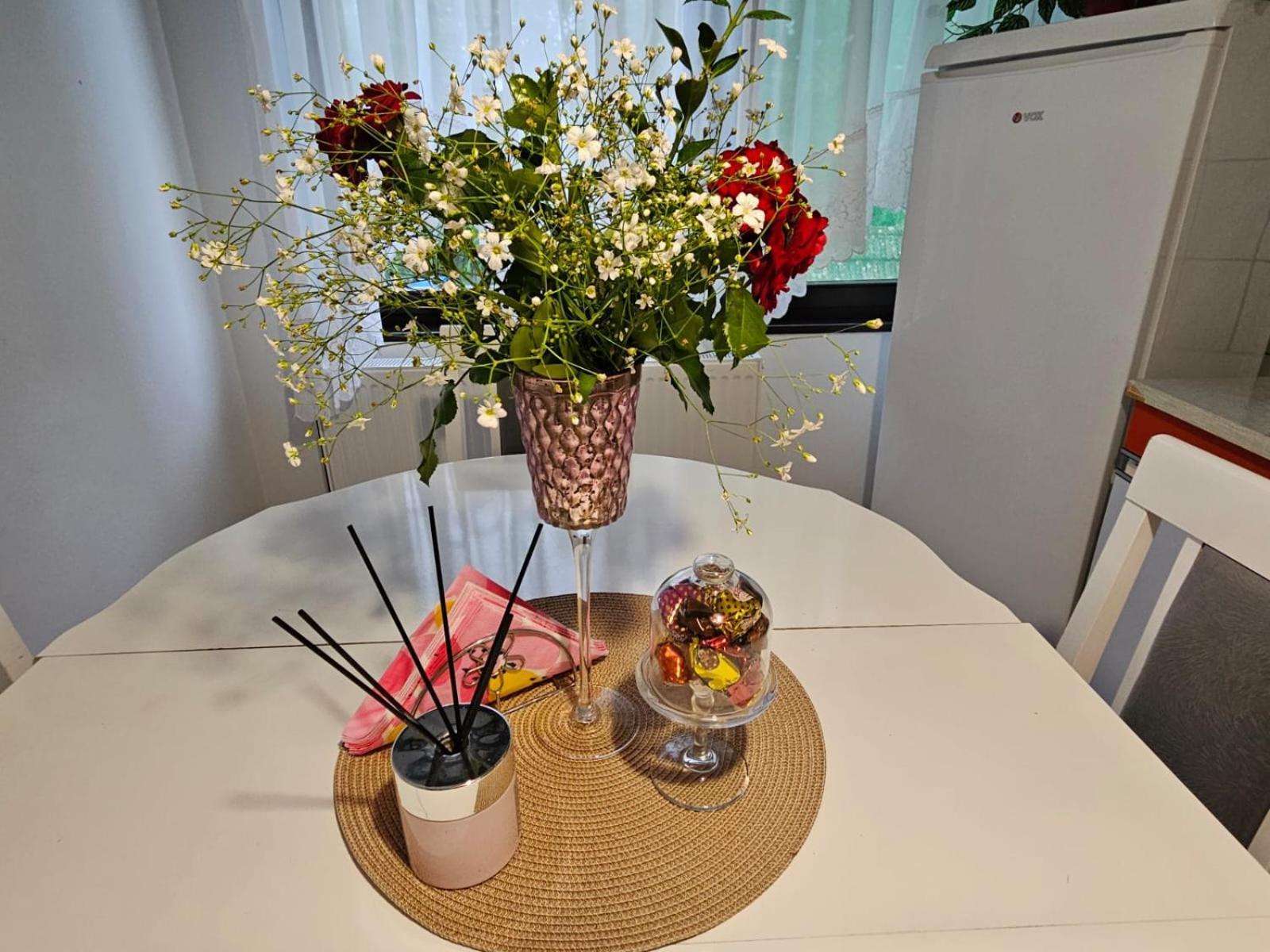 Apartmani, Sobe Ziza Bezdan Luaran gambar
